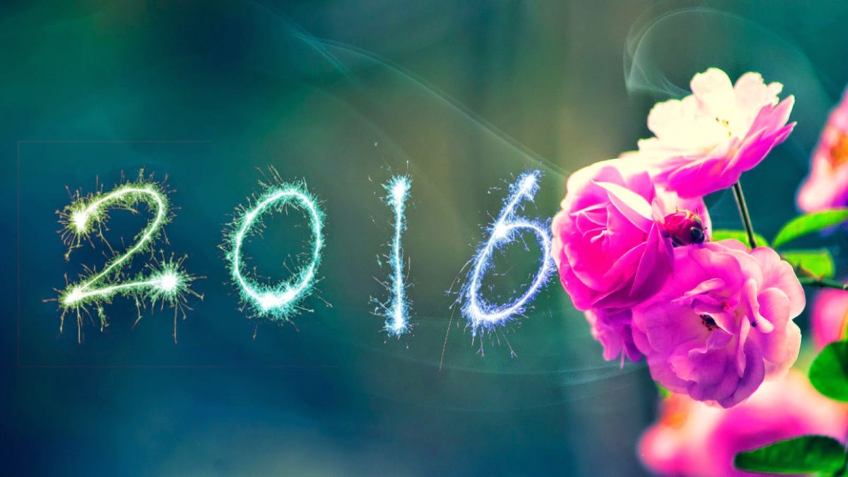 Các loại xe đạp điện mới 2016